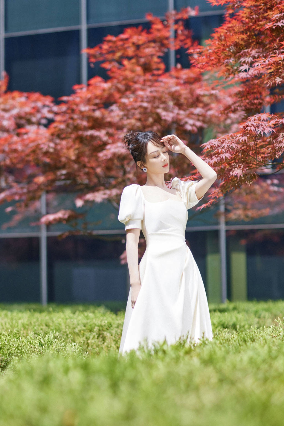杨紫穿白裙置身红叶中 氛围感满满